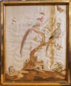 A 19th century silkwork picture, with two birds sat on branches with butterflies and a mouse,