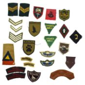 Quantity of Rhodesian Bush War insignia to include C (Rhodesia) squadron SAS padded wings, Pair of