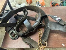 Mixed lot of horse haynes