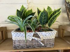 Wicker basket with a quantity of planters and faux plants