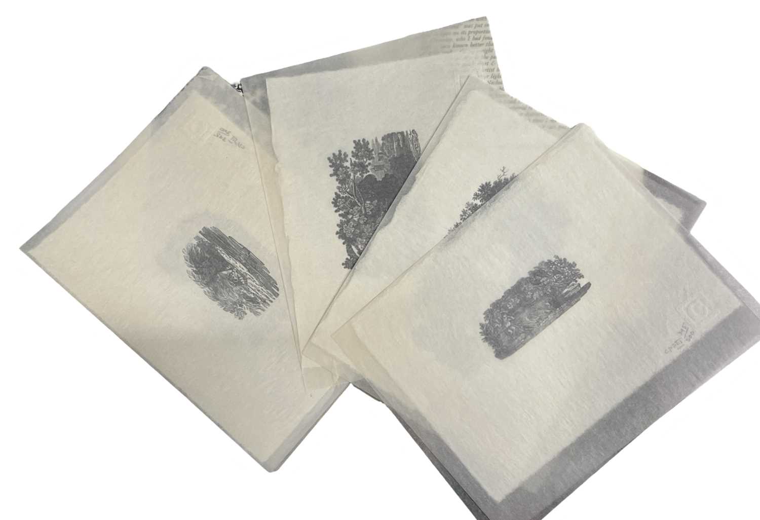 Bewick (Thomas, 1753-1828). Thomas Bewick Wood Engravings, Folio 3, an edition of prints from 5 - Image 5 of 5