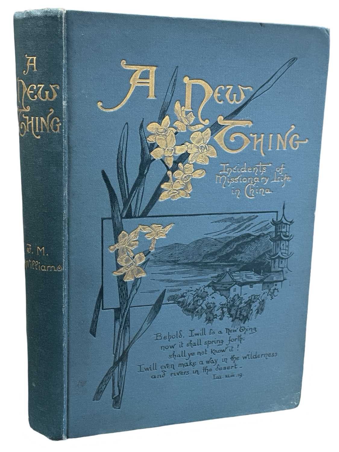CHINA A New Thing; Incidents of Missionary Life in China. By F. M. Williams. 1895. London. S. W.