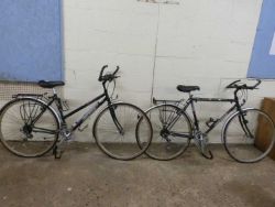 Weekly Auction of Gardening/Outside etc (Saleroom 4)