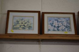 Elizabeth Myfanwy Clough - Two coloured prints of primroses and wild roses