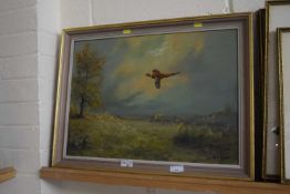 R J Scott, study of a pheasant in flight, oil on board