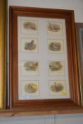 A framed montage group of small prints of game birds