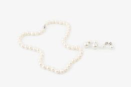 A single strand freshwater pearl necklace, the clasp stamped '750', a pair of cultured pearl ear