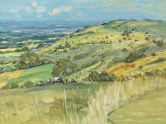 John Willis (20th Century) The South Downs, Sussex oil on board 45 x 61cm. Condition of the board