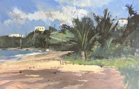 Neil Canning (b.1960) The Beach oil on board 30 x 45.5cm, unframed.