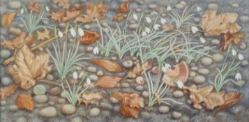 Alan Chisholm (20th Century) Snowdrops oil on board 29 x 60cm; and another oil by the same artist,