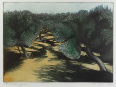 Morna Rhys (Contemporary) Olive Groves, Cyprus signed and numbered in pencil (in the margin) etching