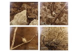 Eric J. Hosking (1909 - 1991) - Four exhibition-sized photographs of birds, circa 1930's.