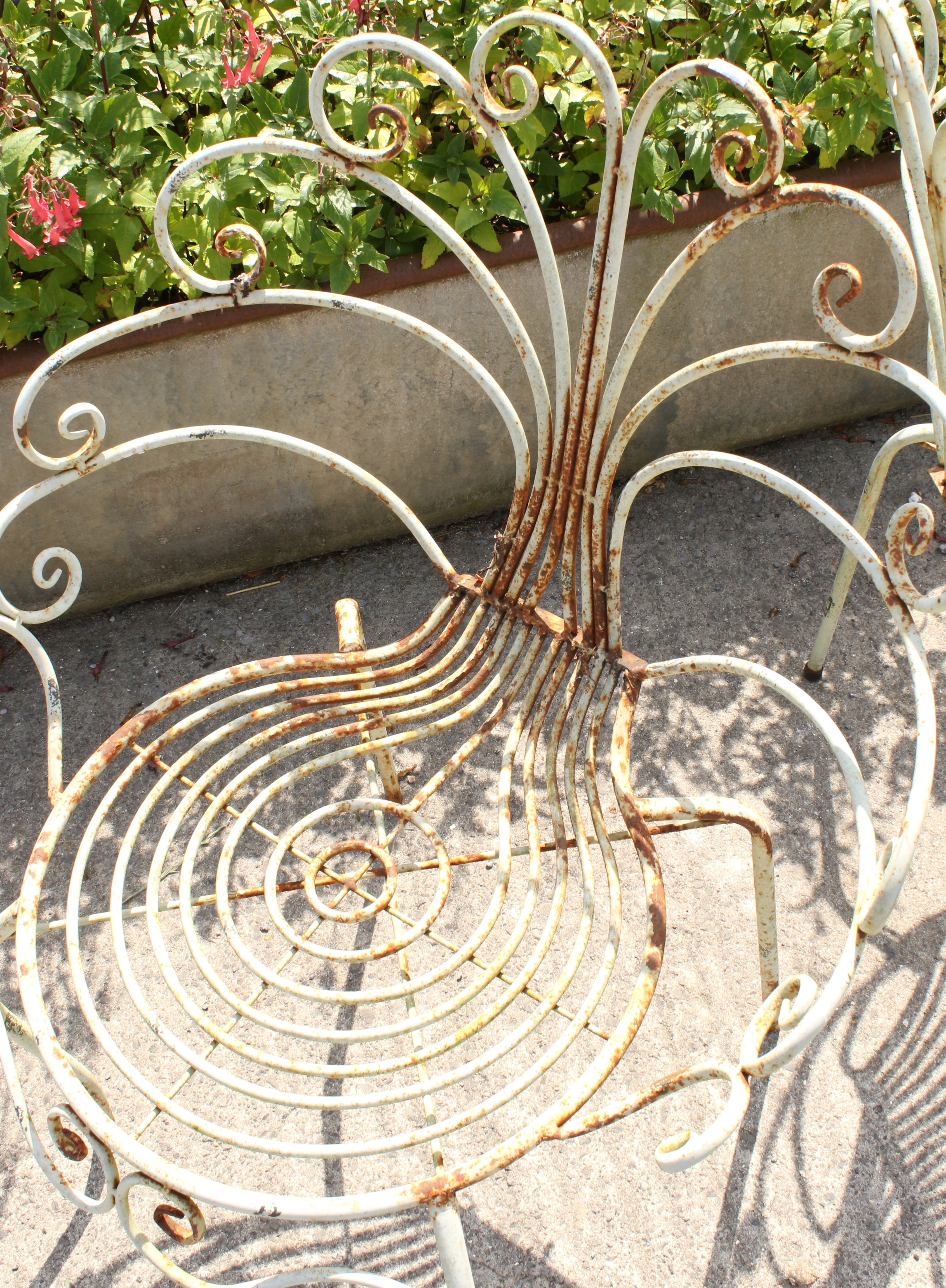 Four vintage metal framed chairs. Having decorative scrolling backs. - Image 3 of 3