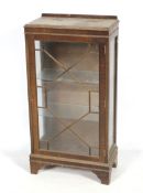 A Georgian style astral glazed mahogany display cabinet. With two glass shelves.