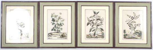 A set of four antique hand coloured botanical engravings.