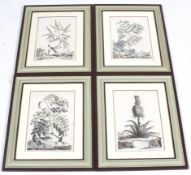 A set of four antique hand coloured botanical engravings.