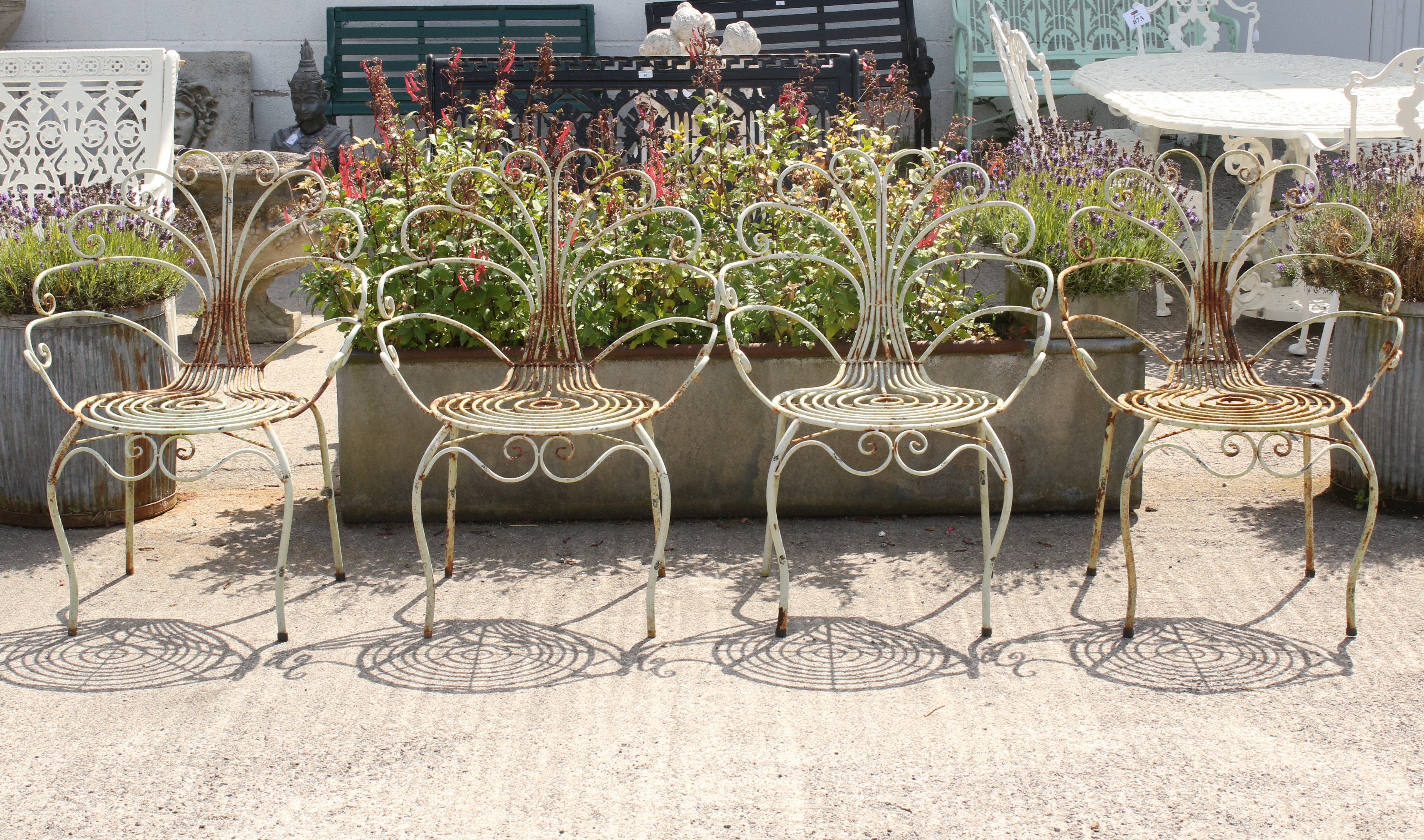 Four vintage metal framed chairs. Having decorative scrolling backs.