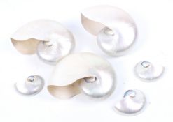 Three large nautilus shells and three small halves. The larger measuring maximum 17cm width.