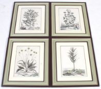 A set of four antique hand coloured botanical engravings.