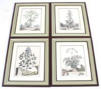 A set of four antique hand coloured botanical engravings.