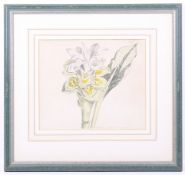 A 19th century hand coloured botanical etching. Published by S. Curtain Walworth April 1813, 20.