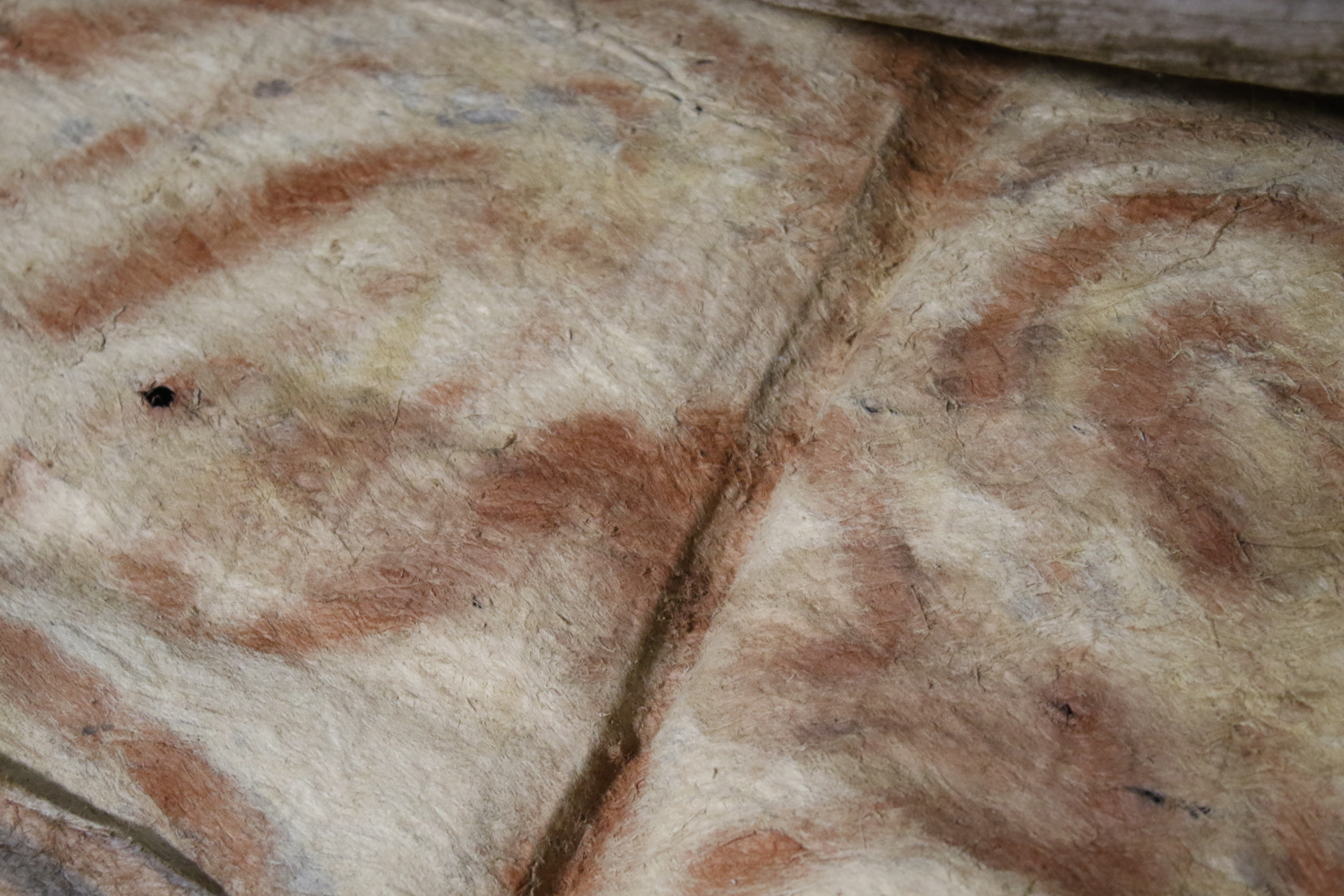 Papua New Guinea. Five lengths of painted tapa cloth. - Image 9 of 26