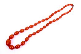 A necklet of butterscotch amber beads. Overall length 56cm approximately.