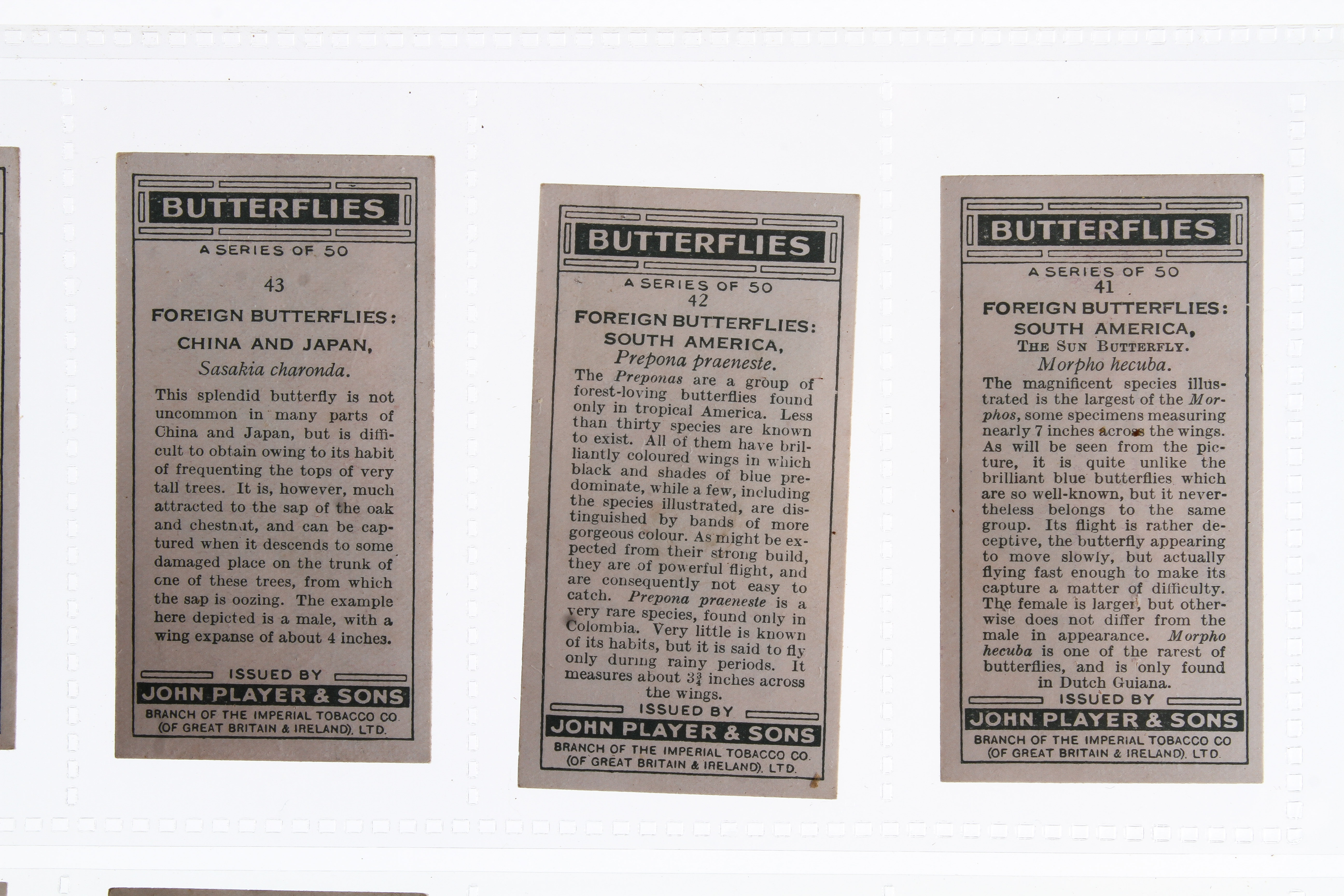 A mixed collection of early 20th century cigarette card sets. - Image 4 of 5