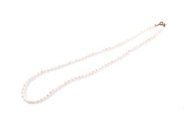 A necklet of cultured freshwater pearls. Overall length 490mm approximately. Base metal fitting.