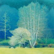 Annie Ovendon (1945) - signed limited edition print. 'Barley Splatt Pond, no. 107/250.