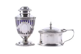 A silver pepper pot and a condiment pot.