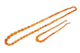 Two butterscotch amber necklaces. Of graduated oval beads, beads measuring circa 0.5cm to 1.