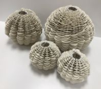 VALERIA NASCIMENTO (b. 1962) a set of fo