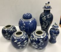 A collection of six Chinese prunus bloss