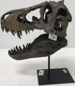 A model T Rex skull, on post,