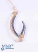 Early fish hook, we are told collected in New Zealand, 3
