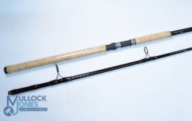 A fine A H F Leintner Dyna-Cast Ebro carbon catfish rod 305cm/10ft WG100-450G 28