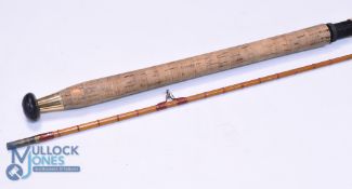 Capella Deluxe 10ft Carp Avon Rod, agate rings, tip 2