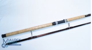 A fine A H F Leintner Dyna-Cast Ebro carbon catfish rod 305/10ft WG100-450g 28
