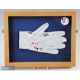 Signed Golf Glove multi signed by players and officials, with noted names of Bryan Morris, Steve - Image 1 of 2