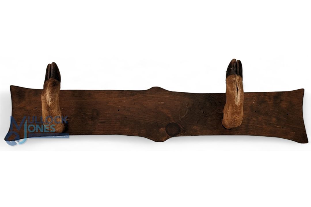 Taxidermy Gun Rack, Sword Stand. Having 2 Deer feet attached to wooden display