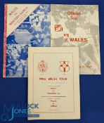 1986 Wales in the S Pacific Rugby Programmes (3): The large examples v Fiji, Tonga (two game