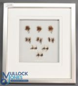 Collection of Loch Ordie flies mounted in a glazed aluminium shadow frame 14x12.5
