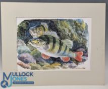 Bernard Venables Signed Fishing Print, of Perch mounted with pencil signature to mount - size #