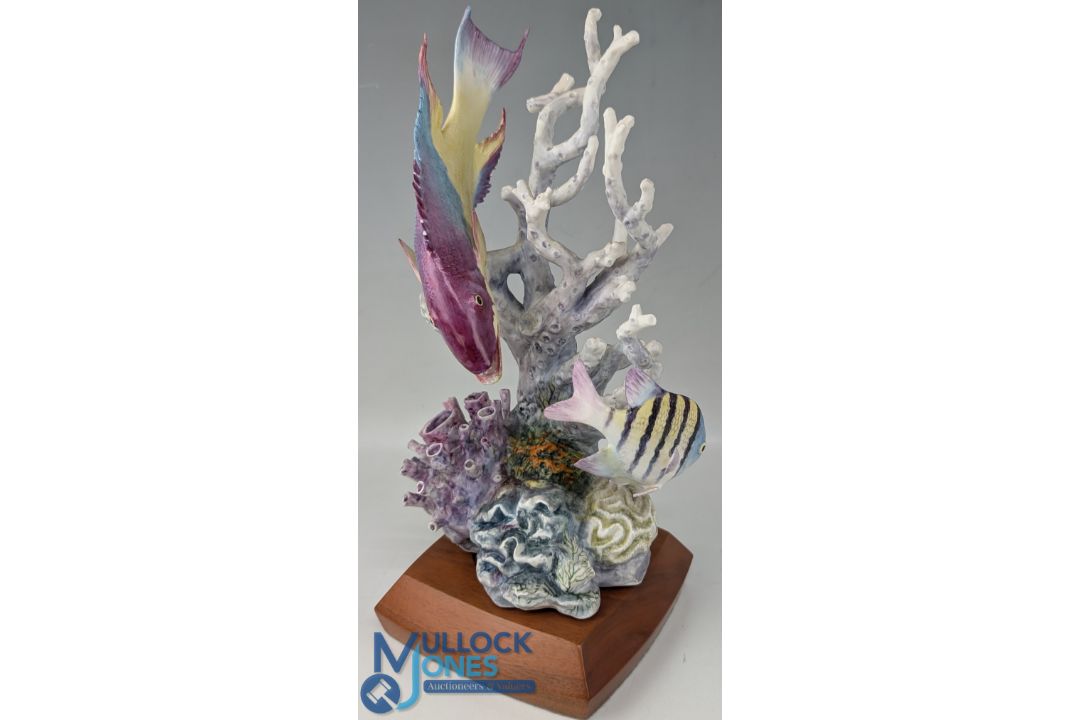 Worcester Royal Porcelain Model of a Spanish Hog Fish, on stand #29cm tall, No.233 by R Van - Image 2 of 2