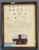 Glazed and Frame Fly Display containing a selection of Edible Nymphs by Stuart McTeare born 23/6/