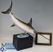 Royal Worcester Figurine of a Swordfish Limited Edition 245/500 modelled by R Van Ruyckevelt, on its