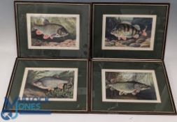 4x Bernard Venables Fishing Prints, of Pike, Perch Roach Chub, all framed and mounted under glass (