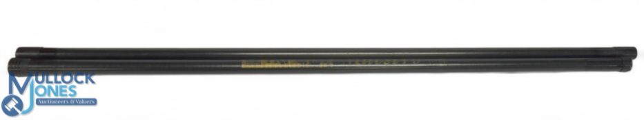 Tri Cast Maestro 11m 6 section pole (2 sec)