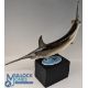 Royal Worcester Figurine of a Swordfish Limited Edition 245/500 modelled by R Van Ruyckevelt, on its - Image 2 of 2